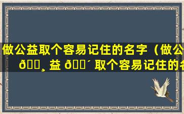 做公益取个容易记住的名字（做公 🕸 益 🌴 取个容易记住的名字怎么取）